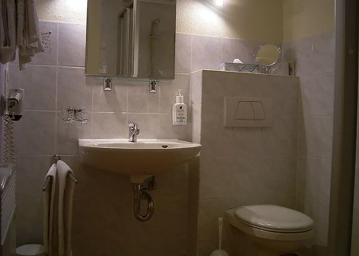 Bockshaut 3* Darmstadt